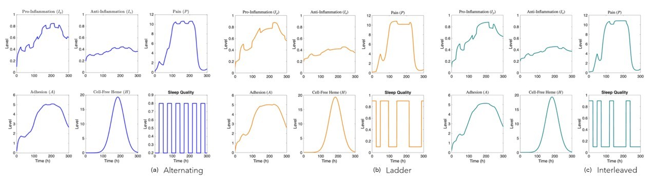 <strong>Figure 2.</strong> Model results for <strong>(a)</strong> alternating sleep schedule, <strong>(b)</strong> ladder sleep schedule, and <strong>(c)</strong> interleaved sleep schedule. Figures courtesy of Milan Marsh.