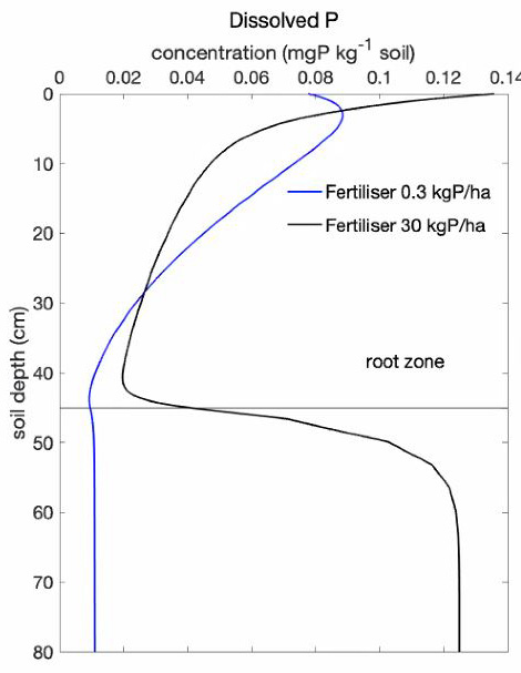 <strong>Figure 3.</strong> Phosphorous soil profiles with fertilization.