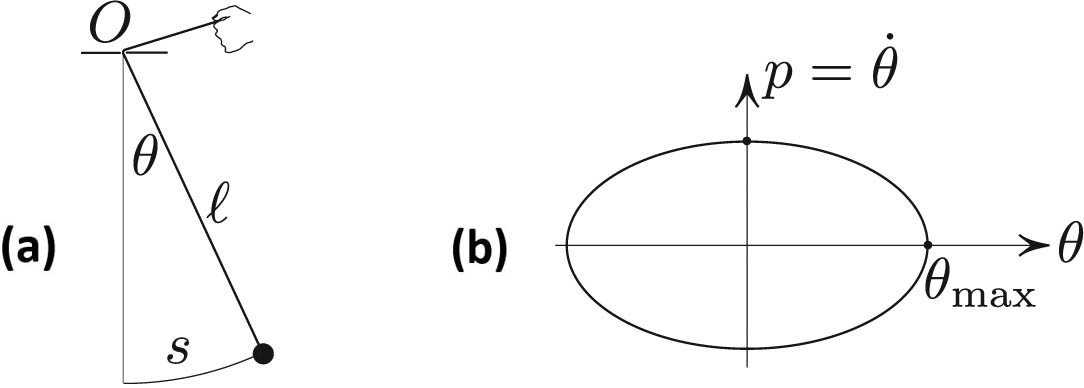 <strong>Figure 1.</strong> The linearized pendulum. <strong>1a.</strong> A mathematical pendulum. <strong>1b.</strong> The area in the phase plane for fixed \(\ell\) is an adiabatic invariant. Figure courtesy of Mark Levi.