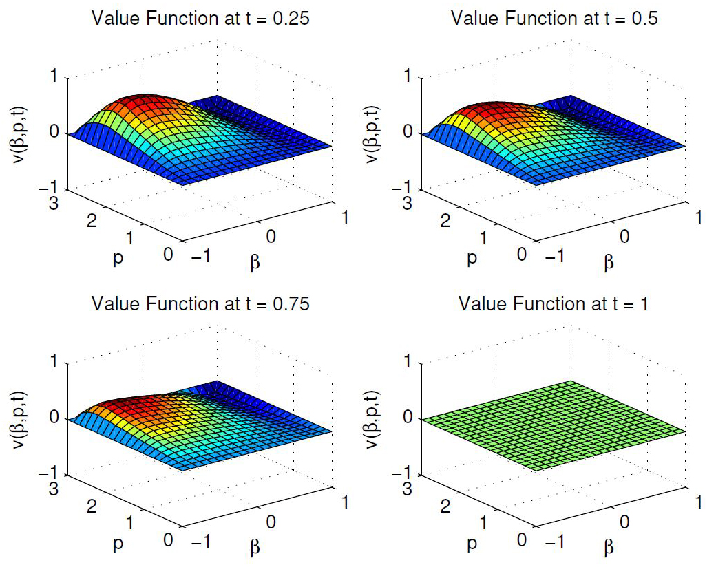 &lt;strong&gt;Figure 3.&lt;/strong&gt; Evolution of the optimal cost-to-go function from the system state \((\beta, p )\) over the time interval \([0,1]\). Figure courtesy of Mohamad Aziz.