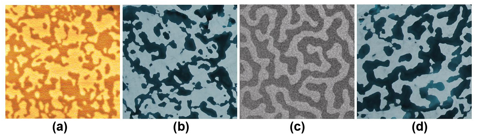 <strong>Figure 1.</strong> Comparison of magnetic domains and the patterns of meltwater on Arctic sea ice. <strong>1a.</strong> Magnetic domains in cobalt, roughly 20 microns across. <strong>1b.</strong> Arctic melt pond, roughly 100 meters across. <strong>1c.</strong> Magneto-optic Kerr effect microscope image of maze-like domain structures in thin films of cobalt-iron-boron, roughly 150 microns across. <strong>1d.</strong> Similarly-structured melt ponds, roughly 70 meters across. Figure 1a courtesy of [9], 1b and 1d courtesy of Donald Perovich, 1c courtesy of [10].