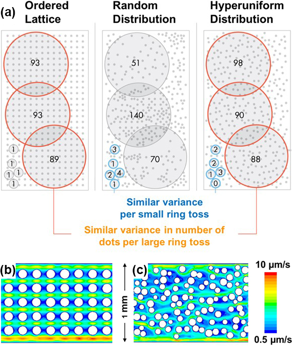 <strong>Figure 1.</strong> The hyperuniform (HU) pattern is a special spatial arrangement within a system that appears to have local heterogeneity or randomness but global regularity or homogeneity in its structure. <strong>1a.</strong> Direct comparison of ordered, random, and HU distributions. To identify the hiding order of the HU distribution, we repeatedly toss a ring onto a field of dots and count the number of dots inside the ring each time. <strong>1b – 1c.</strong> Velocity contour profiles inside the microarray microchips of a uniform pattern (in <strong>1b</strong>) versus an HU pattern (in <strong>1c</strong>). Figure courtesy of Wei Li.