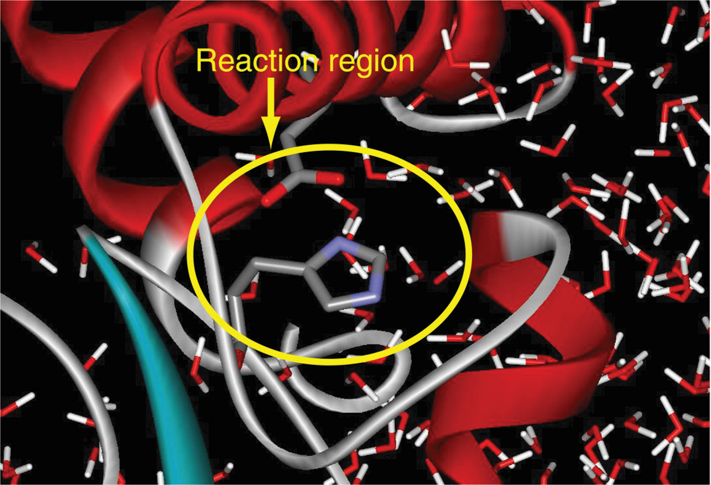 <strong>Figure 2.</strong> With hybrid MM/QM methods, a small reaction region is treated quantum mechanically, while the surrounding solvent and remaining biomolecular system is treated classically. Figure courtesy of Arieh Warshel.