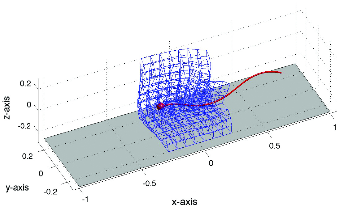 &lt;strong&gt;Figure 2. &lt;/strong&gt; Swimmer affects compliant viscoelastic network. Image credit: [2].