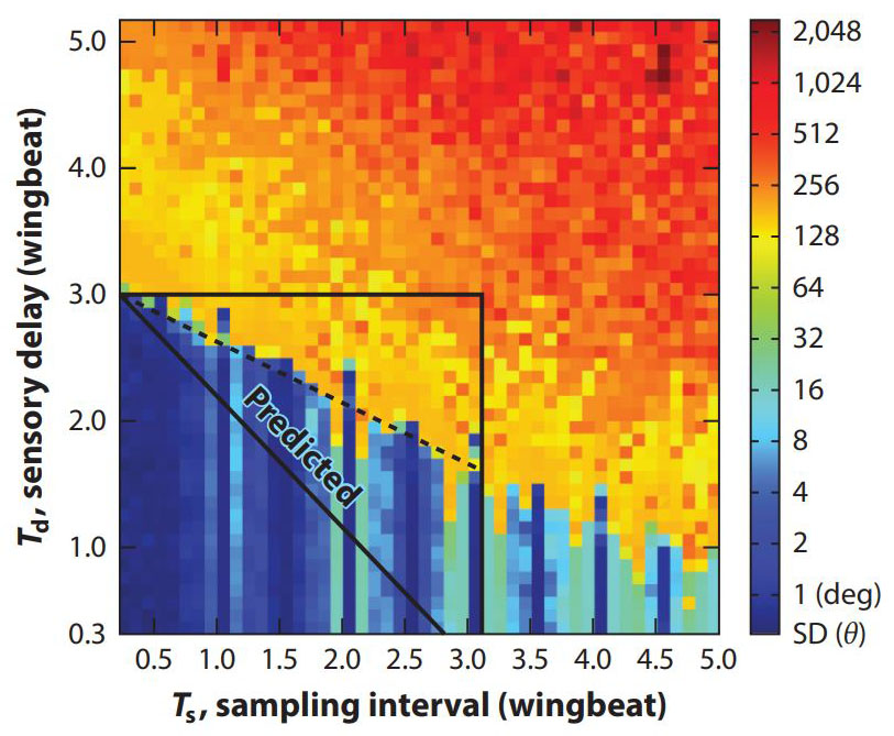 &lt;strong&gt;Figure 1.&lt;/strong&gt; The phase diagram for flight control. The colors represent the root-mean-square pitch angle of the insect body in degrees. Smaller values (blue) indicate well-controlled flight and higher values indicate insect tumbling. Figure courtesy of [1].