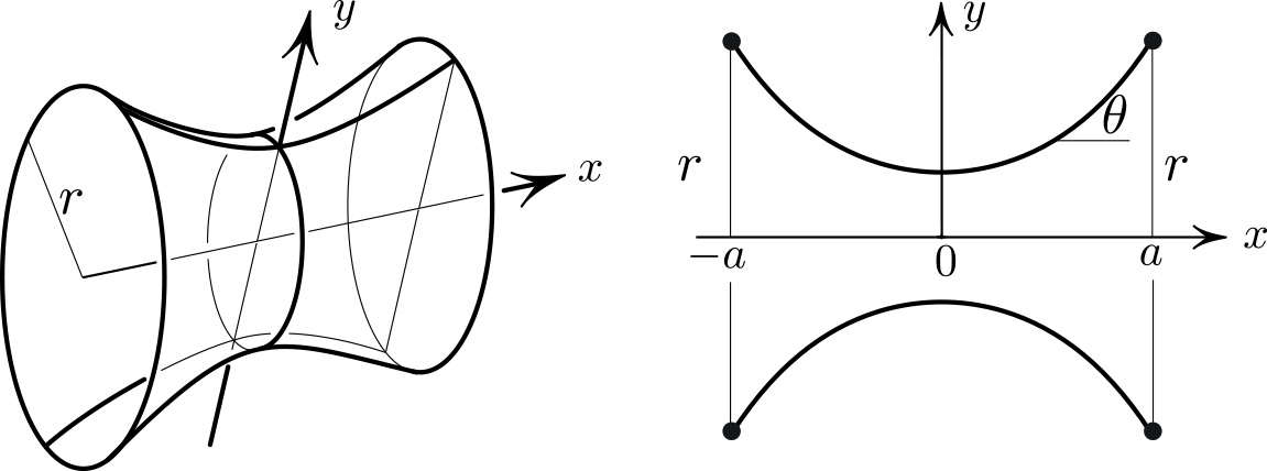 <strong>Figure 1.</strong>Soap film — a minimal surface that spans two circular hoops.