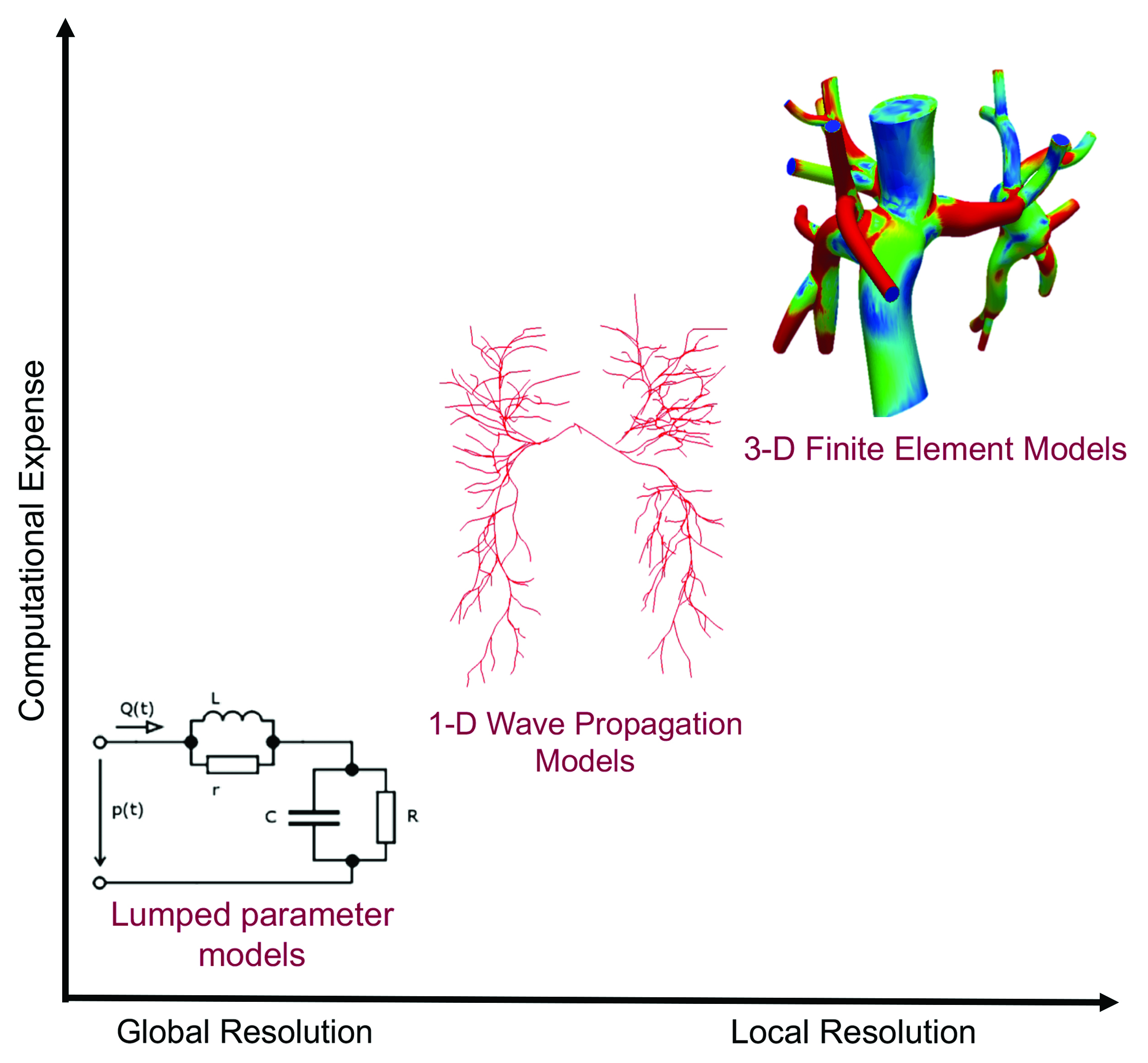 <strong>Figure 1.</strong> Multi-fidelity models of the cardiovascular system include zero-dimensional ordinary differential equation models using lumped parameter circuit elements, one-dimensional partial differential equation (PDE) models that capture wall deformation and wave propagation at reduced computational cost, and full three-dimensional PDE models that provide high-fidelity resolved simulations of velocity and pressure in anatomic models. Figure courtesy of the Cardiovascular Biomechanics Computation Lab at Stanford University.
