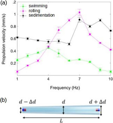 <strong>Figure 3.</strong> Propulsion of soft rod-like robots. <strong>3a.</strong> Comparison between experimentally measured swimming propulsion, rolling motion along the boundary, and sedimentation due to gravity. <strong>3b.</strong> The rod-like swimmers have a tapered shape, which leads to a fore-aft asymmetry that is necessary for swimming propulsion. Figure courtesy of [2].