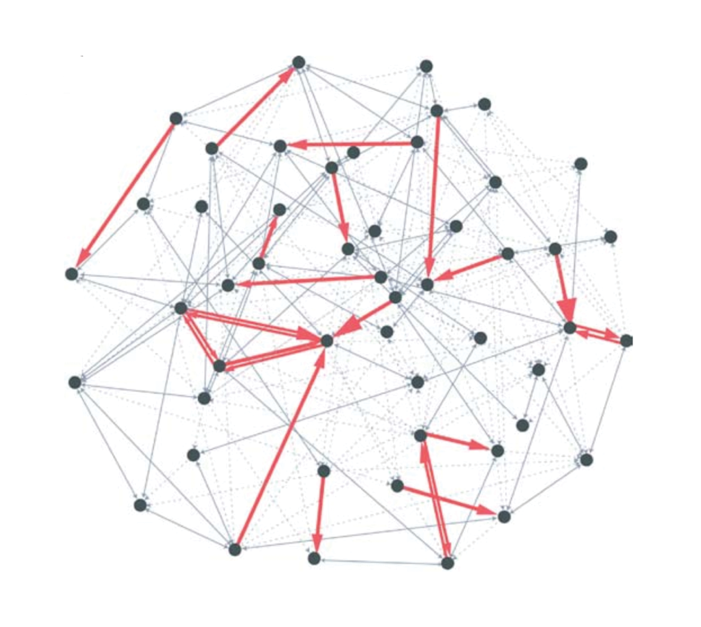 <strong>Figure 1.</strong> Statistical reconstruction of sparse network of neurons. From S. Song, P.J. Sjöström, M. Reigl, S. Nelson, and D.B. Chklovskii, Highly nonrandom features of synaptic connectivity in local cortical circuits, <em>PLoS Biol.</em>, 3 (2005), e68.