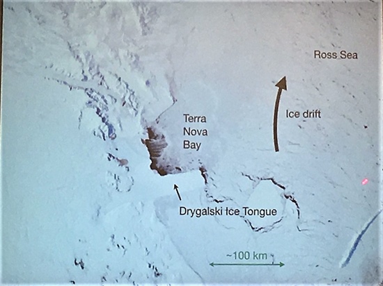 The Drygalski Ice Tongue, a floating glacier in the Victoria Land coastal ocean region, exhibits a very rapid rate of ice formation.