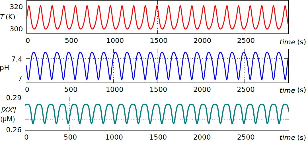 <strong>Figure 1.</strong> pH and temperature cycling of the thiosulfate-hydrogen peroxide (THP) redox oscillator drive replication of XX’, double-stranded polyribonucleotides.