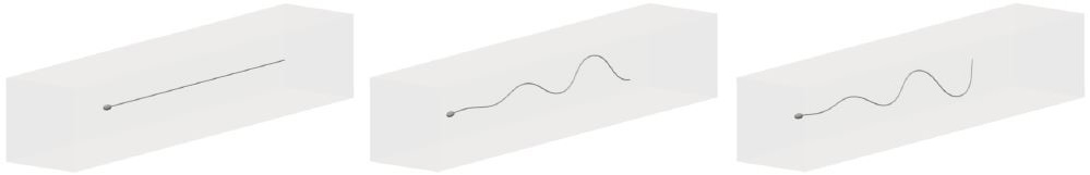 <strong>Figure 1.</strong> Three instances of the position and shape of a sperm cell that propagates a sinusoidal wave along its flagellum over time. The effect of this swimming stroke is straight propulsion in the opposite direction of the traveling wave. Figure courtesy of Luca Berti.