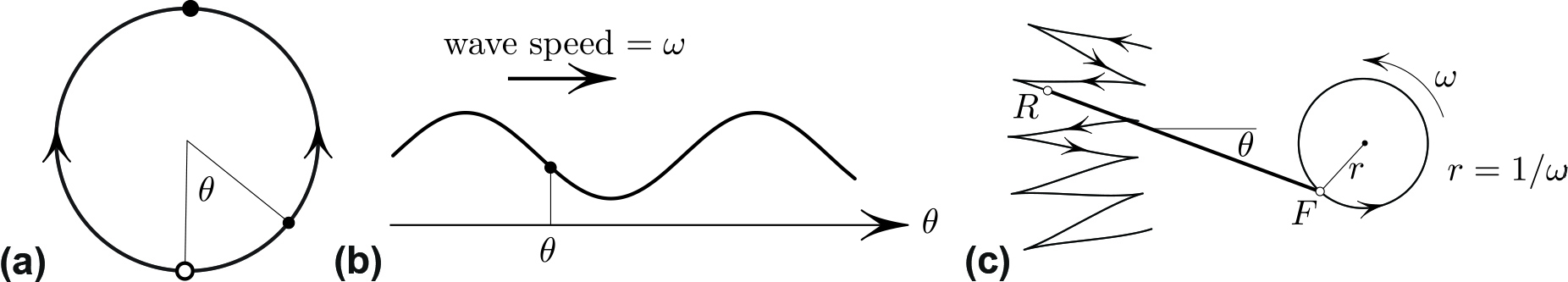 <strong>Figure 2.</strong> Alternative interpretations of \((2)\). <strong>2a.</strong> Equation \((1)\) gives the flow on the circle. <strong>2b.</strong> Equation \((2)\) is the gradient descent flow of the sinusoidal potential \(V=\cos ( \theta - \omega t)\) that is sliding with speed \(\omega\). <strong>2c.</strong> \(\theta\) is the angle between the “bike” \(RF\) and a fixed direction as the front \(F\) moves in a circle of radius \(\omega ^{-1}\) with angular velocity \(\omega\). Each zigzag of \(R\) corresponds to one trip of \(F\) around the circle. Figure courtesy of the author.