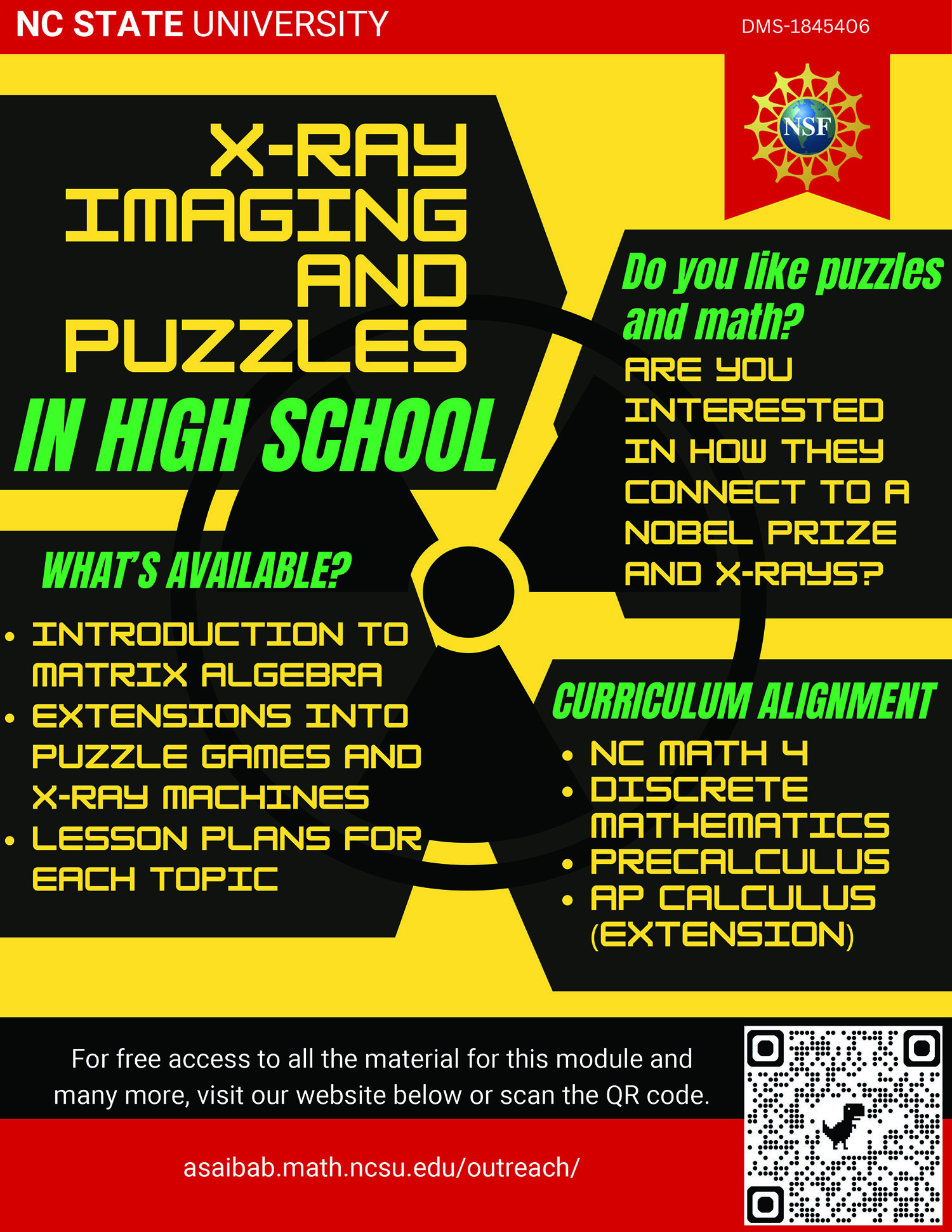 <strong>Figure 1.</strong> Flyer for one of the six high school teaching modules that resulted from the author’s Faculty Early Career Development Program award from the U.S. National Science Foundation. This self-contained module uses puzzles such as nonograms to introduce X-ray imaging and the concept of ill-posedness. Flyer courtesy of Matthew Purser.