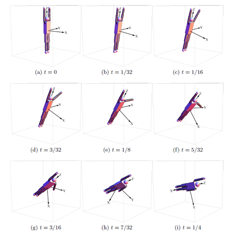The mathematics of the twisting somersault. View referenced paper for details.