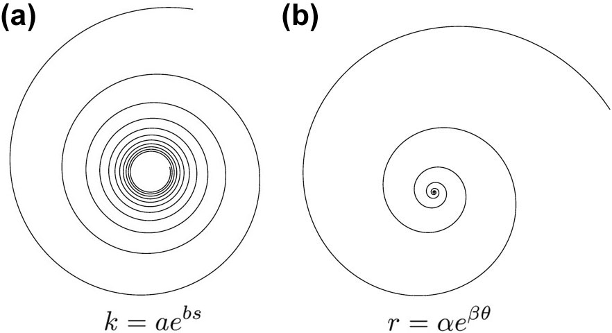 <strong>Figure 1.</strong> The exponential spiral <strong>(1a)</strong> looks much denser near its center than the logarithmic spiral <strong>(1b)</strong>. In particular, the length around the center of the exponential spiral lying inside any disk is infinite, in contrast to the logarithmic spiral.