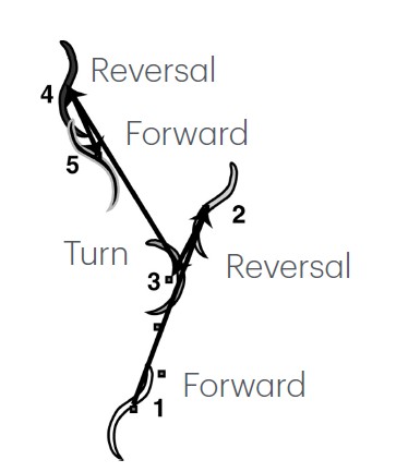 <strong>Figure 1.</strong> <em>Caenorhabditis elegans</em> movements can be simplified into switches between forward and reverse states punctuated by turns. Figure adapted from [3]. Copyright 2003 Society for Neuroscience.