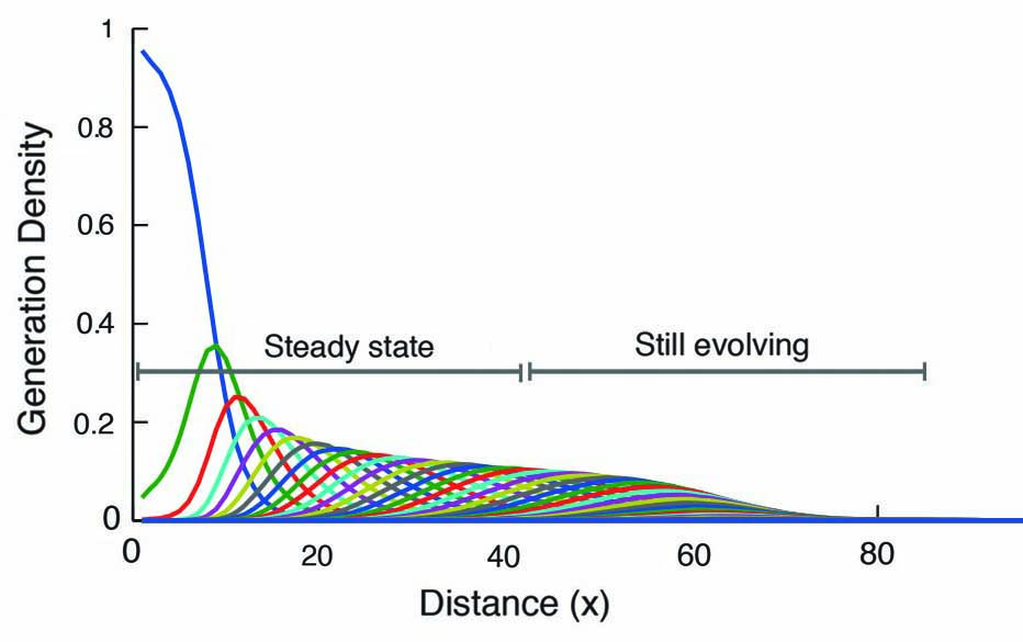 <strong>Figure 3.</strong> Spatial distribution of PDE    solutions for the generations \(n_i(x, t) (i = 0, 1, 2 . . .)\)  The generation  number \(i\) increases  from left to right, each marked with a different color. The earlier generations, which  correspond to those well behind the wavefront, reach a steady state. The later generations, at the  wavefront, continue  to evolve  for some  further time.  Image credit:  B.L. Cheeseman.