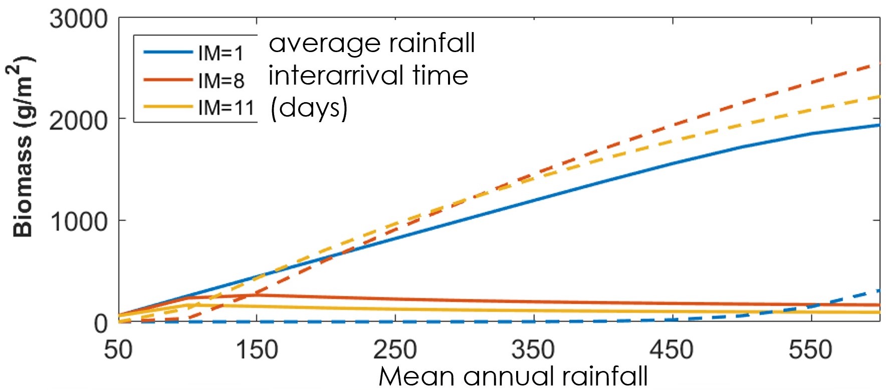 <strong>Figure 3.</strong> Biomass versus mean annual rainfall under different levels of rainfall intermittency for a drought-resistant plant (dashed line) and less drought-resistant plant with a higher optimal growth rate (solid line). Figure courtesy of Mara Baudena [2].