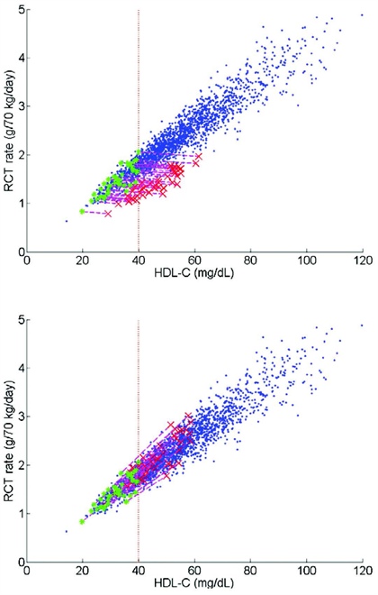 <strong>Figure 3.</strong> Simulation of the relationship between the whole-body RCT rate and HDL-C in a virtual population (n=2000; blue). A subset of virtual subjects with HDL-C < 40 mg/dL (n=390; green) was subjected to 80% CETP inhibition (top) and 100% ABCA1 up-regulation (bottom; red).  The purple dashed lines connect the asterisks with the X's for each individual subject during the respective treatments. While both treatments raise HDL-C levels by about 50%, CETP inhibition results in a slight decrease of RCT rate; ABCA1 up-regulation raises RCT rate markedly following the trend of the underlying virtual population.