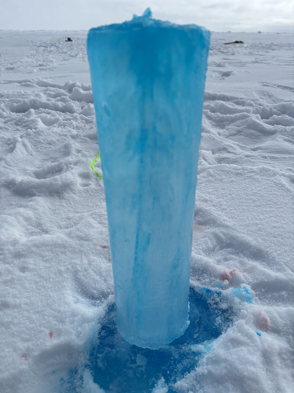 <strong>Figure 1.</strong> Blue dye on an ice core illuminates the presence of brine inclusions, which are marked by the darker streaks. Photo courtesy of Anthony Jajeh.
