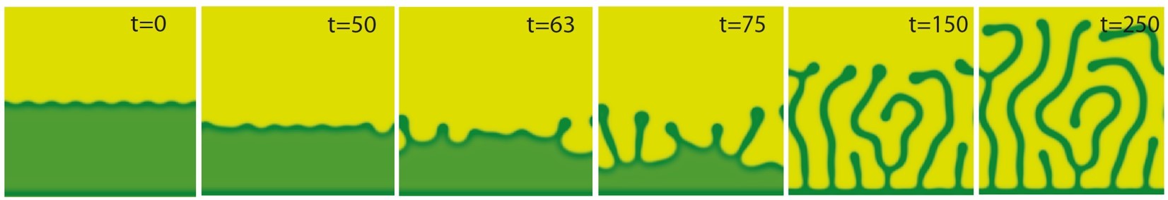 &lt;strong&gt;Figure 4.&lt;/strong&gt; Snapshots of numerical model solutions showing a transverse front instability. Following a short phase in which the bare-soil domain expands into the uniform-vegetation domain, vegetation fingers develop and grow back into the bare-soil domain, thus forming a stationary labyrinthine pattern. The time indicated in every snapshot is in units of years. Further information is available in [8].