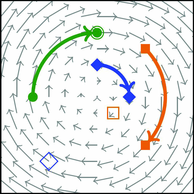 <strong>Figure 3.</strong> Motion generated by a linear control system. All points move simultaneously without the possibility of classification according to their labels. Figure courtesy of Daniël Veldman of Friedrich-Alexander-Universität Erlangen-Nürnberg.