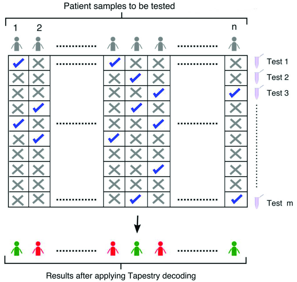 <strong>Figure 1.</strong> An overview of the pooling scheme proposed in [4]. A total of \(n\) patient samples are pooled into \(m\) tests in a combinatorial manner. Each patient sample is included in multiple tests and each test contains multiple patient samples. Figure courtesy of [4].