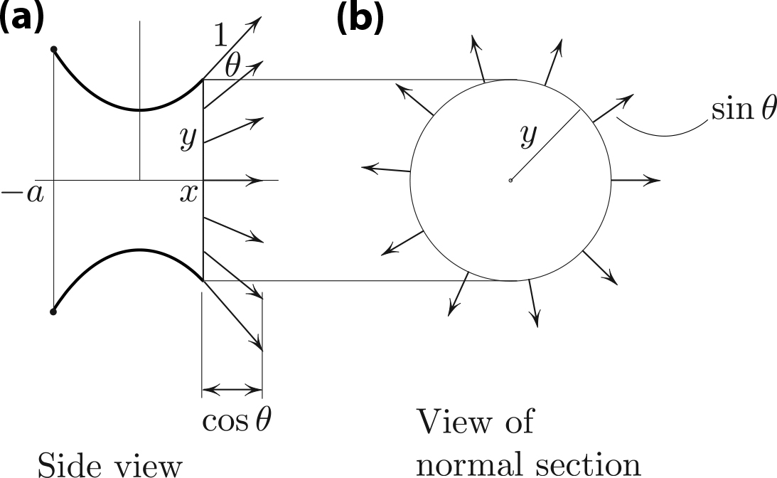 <strong>Figure 4. 4a.</strong> \(H\) is the horizontal force that acts on any section of the soap “tube,” up to a constant factor that depends on the surface tension. \(H= {\rm const.}\) as a function of \(x\) is the consequence of Newton’s first law. <strong>4b.</strong> Here, \(y \sin \theta = p\) is the cumulative force on a portion of the tube that acts in the plane of the section.