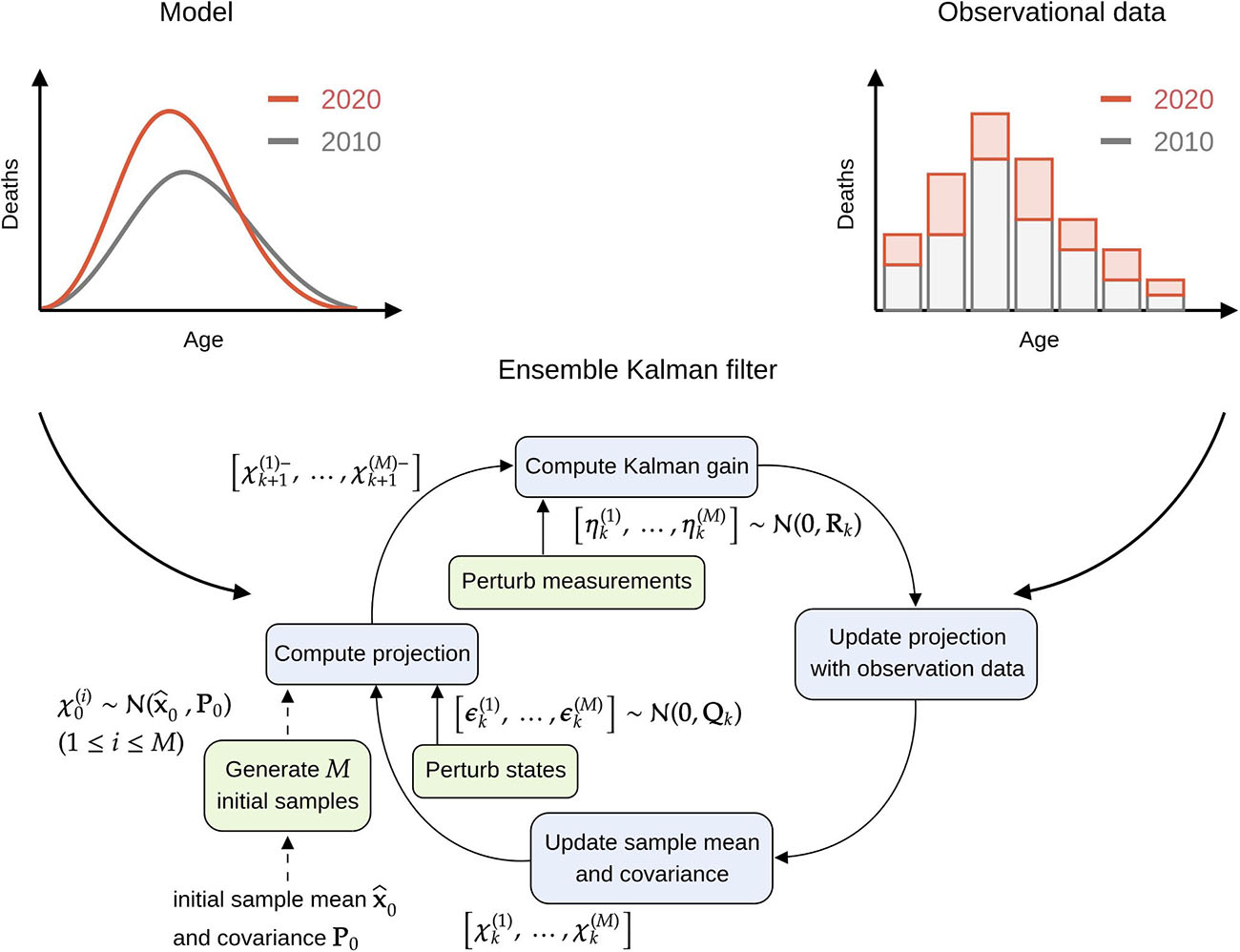 &lt;strong&gt;Figure 2.&lt;/strong&gt; Our approach uses an ensemble Kalman filter (EnKF) to combine a mechanistic model of drug overdose fatalities with corresponding observational data. Blue boxes show the main steps (i.e., projection and update) in an EnKF cycle, while green boxes represent the initial sample generation process and additional perturbations during the projection and update steps. Figure adapted from [3].