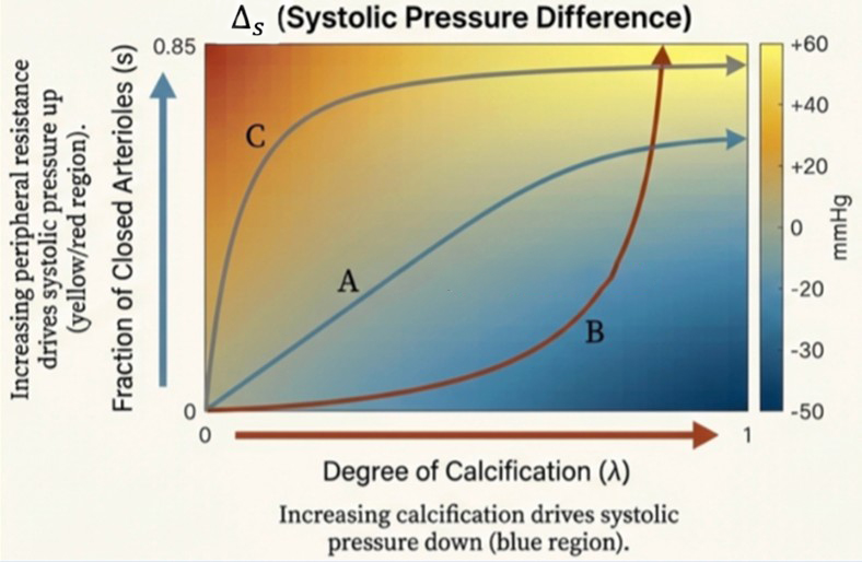 <strong>Figure 2.</strong> Increasing the degree of calcification \((\lambda)\) and the fraction of closed arterioles \((s)\) have opposite effects on systolic pressure difference \((\Delta_{s})\) at the inlet and outlet. The characteristic pressure drops arising from calcification can be completely offset or even reversed by high peripheral resistance, masking the presence of MAC. Potential pathways for disease progression are labeled A, B and C. Figure adapted from [3]. 