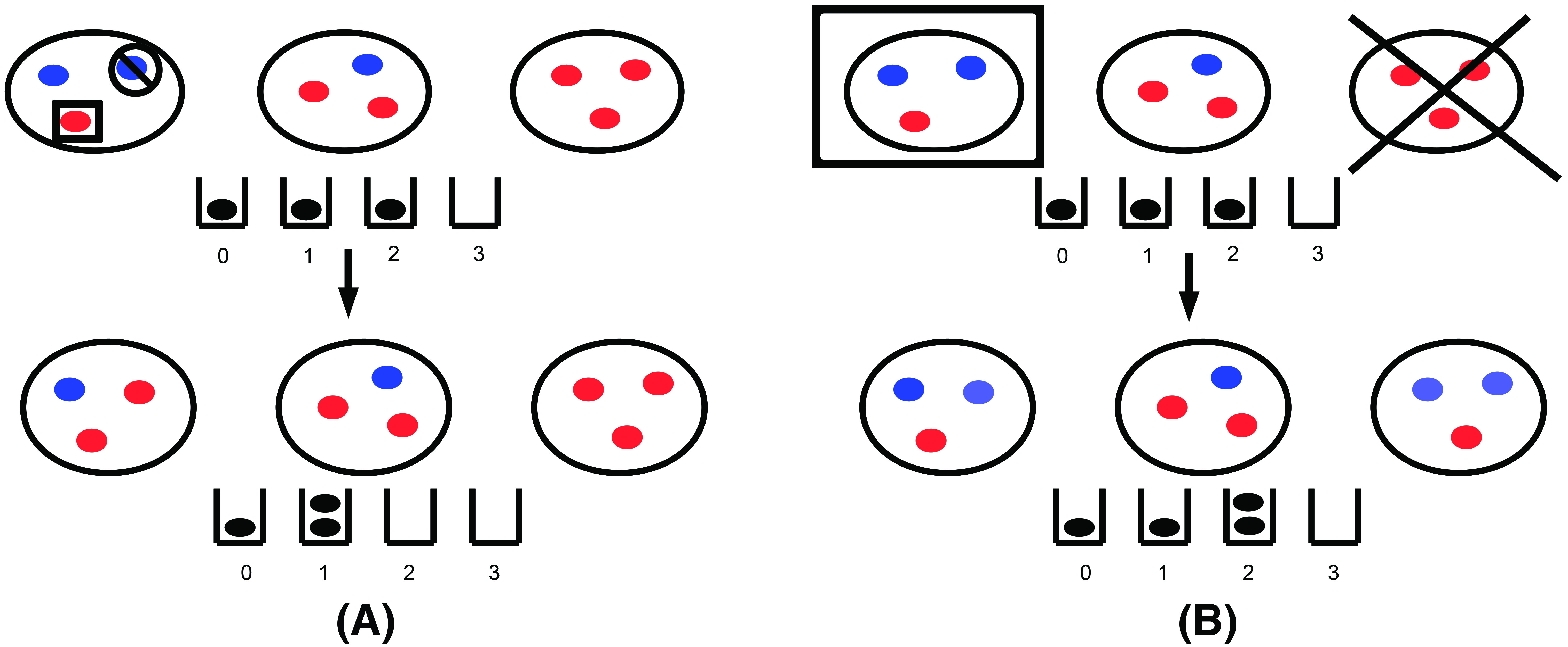 <strong>Figure 1.</strong> Schematic depictions of sample birth-death events that are taking place at the level of individuals (<strong>1a</strong>) and groups (<strong>1b</strong>). The populations of three groups (large black circles), are composed of three individuals who are either cooperators (small blue circles) or defectors (small red circles). The urns represent the possible numbers of cooperators per group (between zero and three), and each ball in the urns describes the composition of a single group. <strong>1a</strong> depicts the birth of a defector and death of a cooperator in the leftmost group and <strong>1b</strong> depicts the reproduction of a two-cooperator group and the death of an all-defector group. Figure adapted from [5].